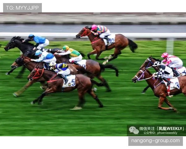 富里睡醒发现自家马场又多了一匹新马，账单比拳赛奖金还长