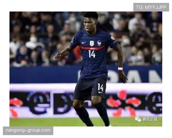 琼阿梅尼 vs 卡马文加：中场核心能力与战术适配性对比