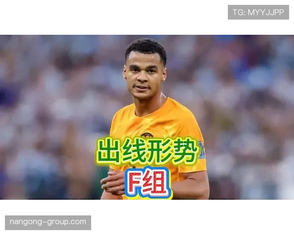 世界杯F组出线热门排行榜